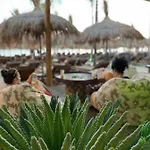 Empire Albania 4* Durrës
